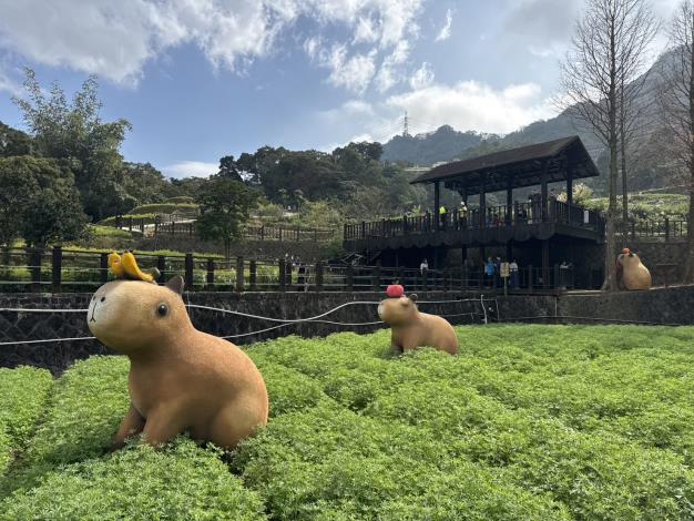 臺北大縱走第七段-樟樹步道