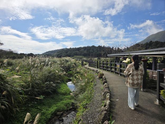 照片4頂湖海芋步道