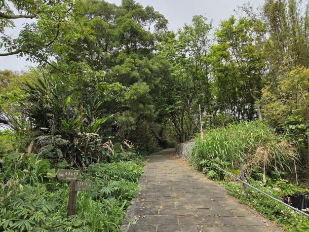 照片12安山岩串聯步道