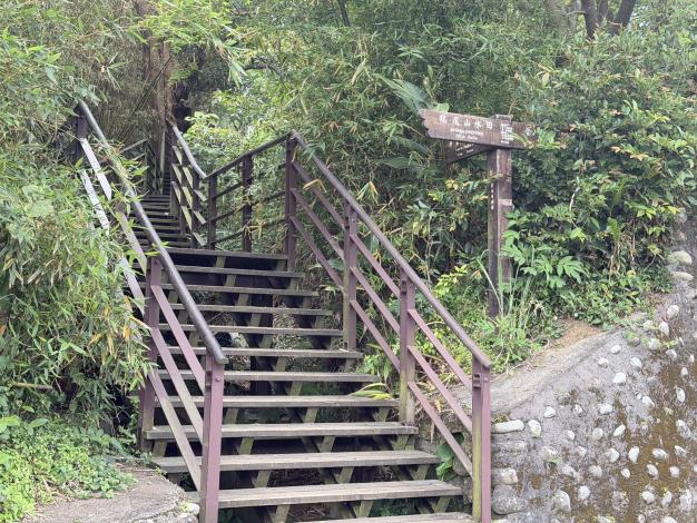 照片9木棧道.JPG