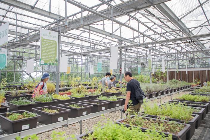圖6-來場與植物的五感之旅(歷年照片)