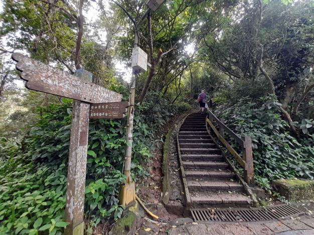 照片06-南港山稜線步道叉路口