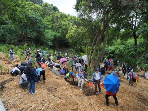 4.雨中深耕：土木技師齊力植樹，蓄水護土綠化家園。