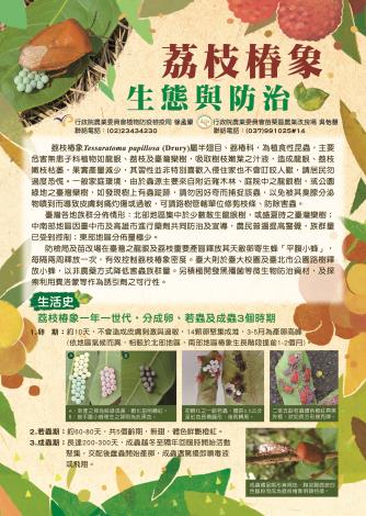 荔枝椿象宣導摺頁-01