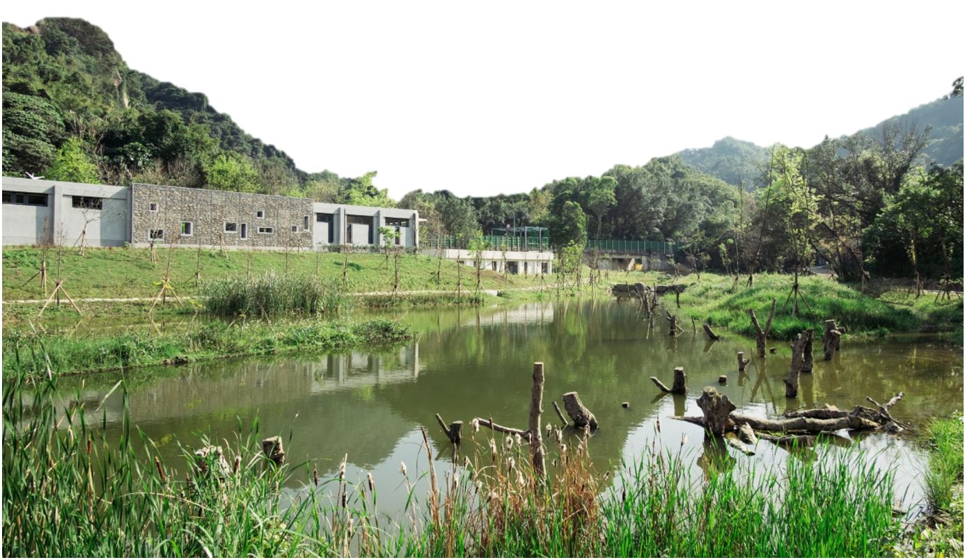 4.水域鳥踏美景圖