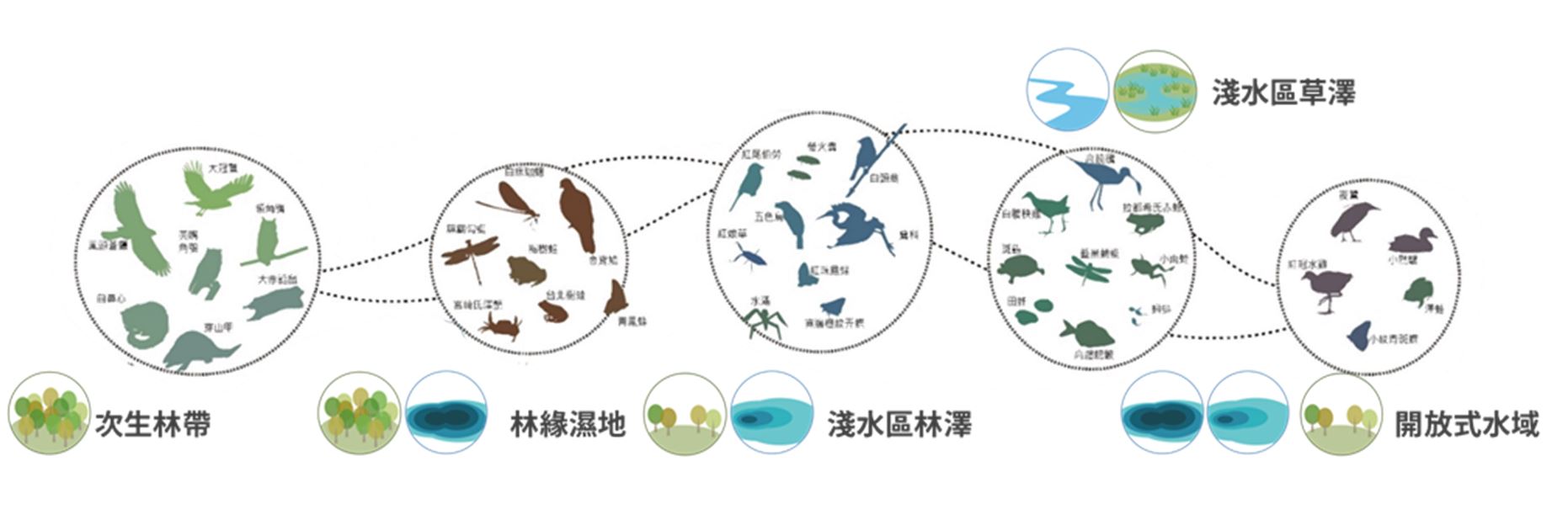 11.生態跳島示意圖 11.生態跳島示意圖