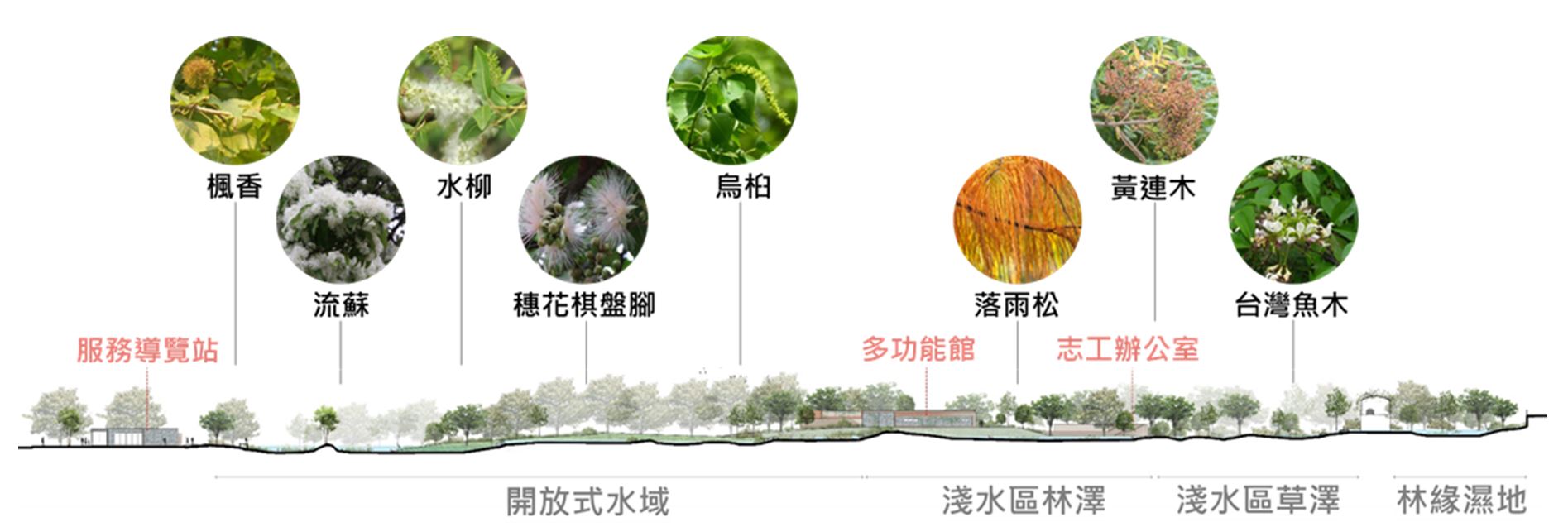 23.重要植栽分布 23.重要植栽分布