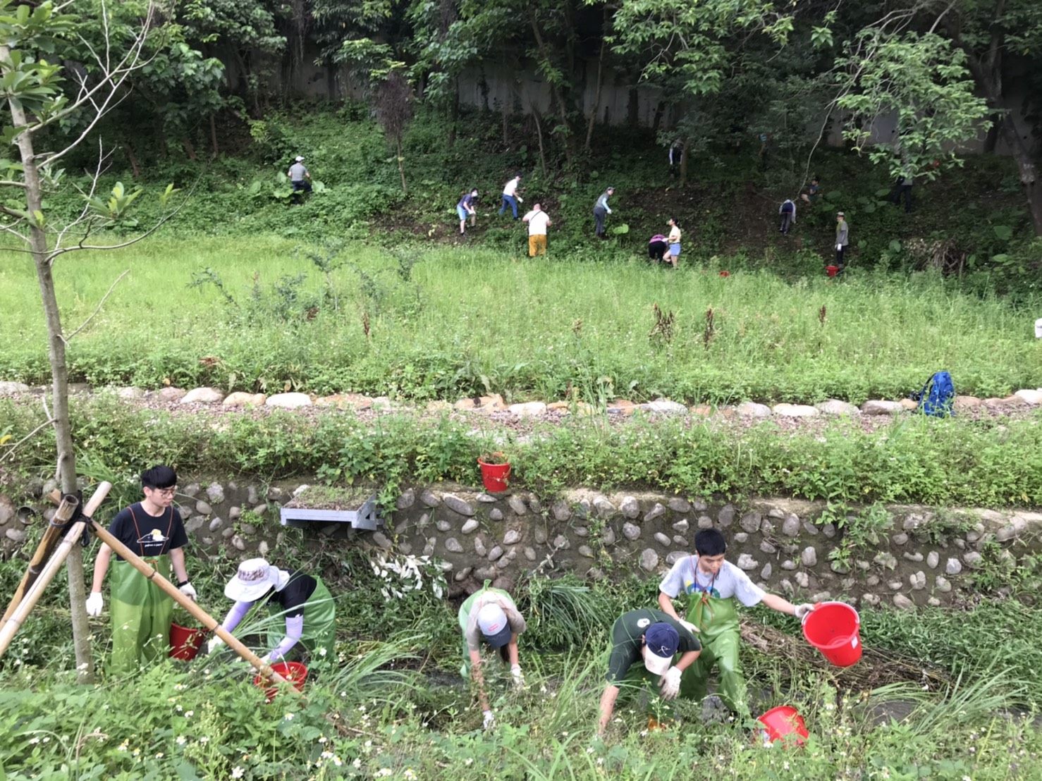 25.荒野協會清除外來種