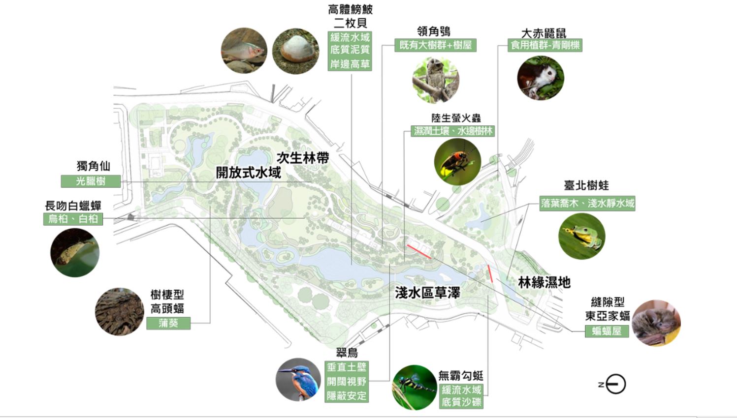 10.生態調查圖