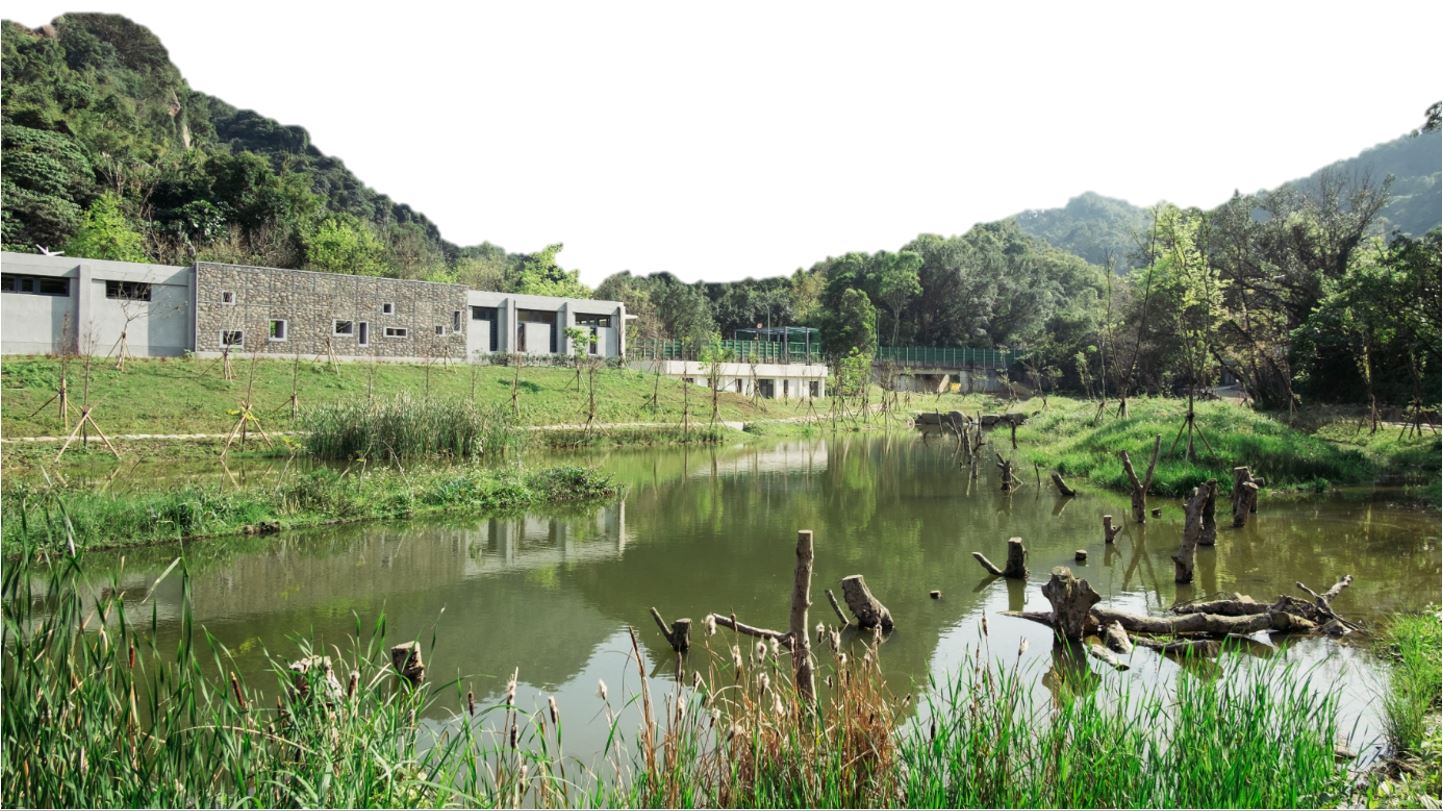 豹山、獅山映於陂塘 豹山、獅山映於陂塘