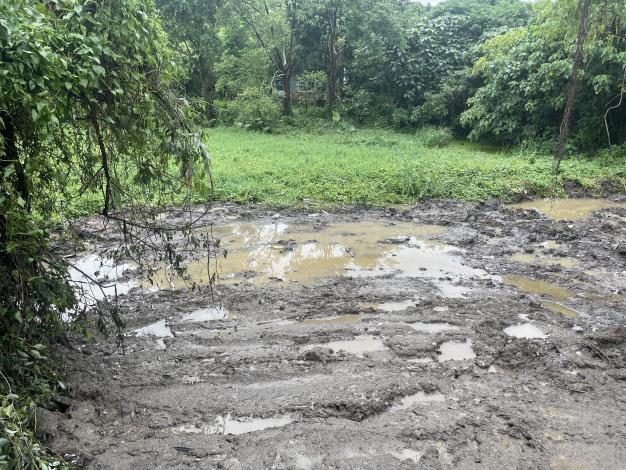 北投區大業路517巷內一處土地遭掩埋廢棄物