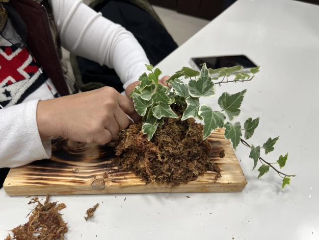 植栽板DIY課程，主要材料為廢棄木板，再用回收電風扇的電線固定水胎球