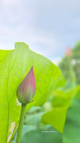 LINE_ALBUM_202567 攝影_250614_4