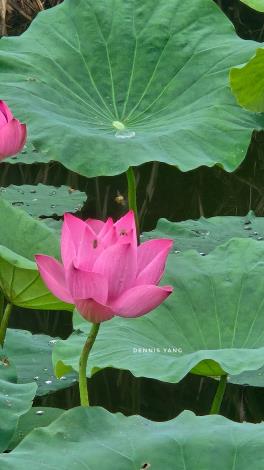 LINE_ALBUM_202567 攝影_250611_2_0