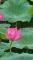 LINE_ALBUM_202567 攝影_250611_2_0