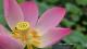 LINE_ALBUM_202567 攝影_250611_5_0