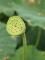 LINE_ALBUM_202567 攝影_250614_3