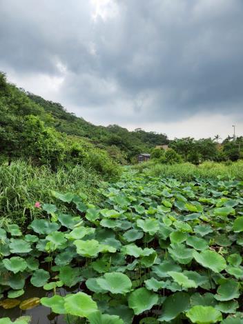 LINE_ALBUM_202567 攝影_250614_6