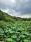 LINE_ALBUM_202567 攝影_250614_6