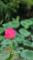 LINE_ALBUM_202567 攝影_250610_3