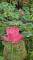 LINE_ALBUM_202567 攝影_250614_1