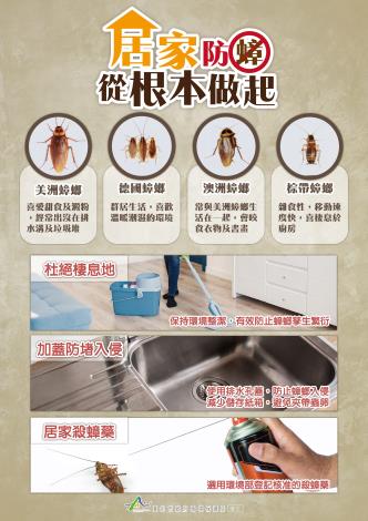 居家防蟑 從根本做起