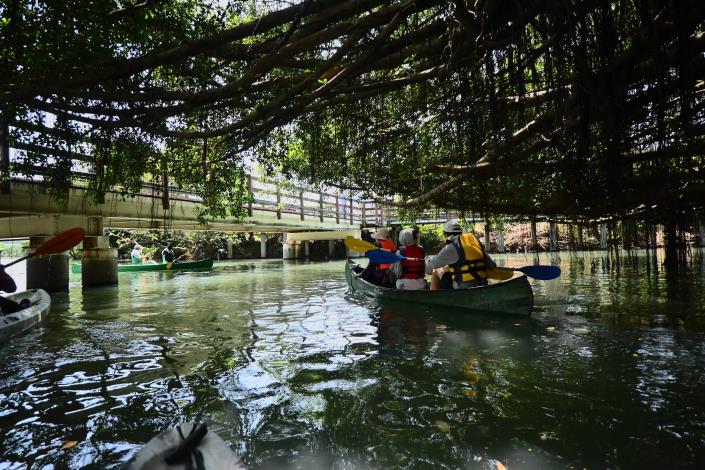 五分港溪-支線活動