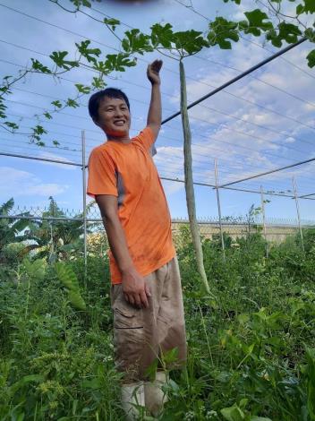 民眾堆肥植栽情形