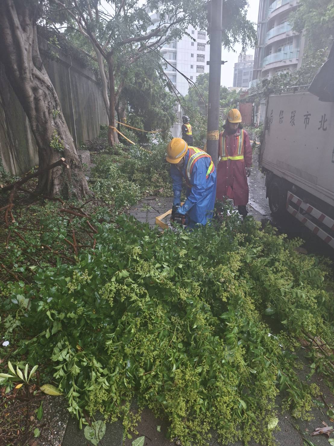 臺北市環保局人員進行道路樹枝清除作業-3