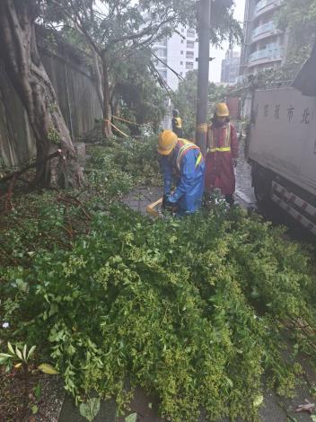 臺北市環保局人員進行道路樹枝清除作業-3