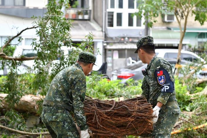 憲兵協助樹木清運