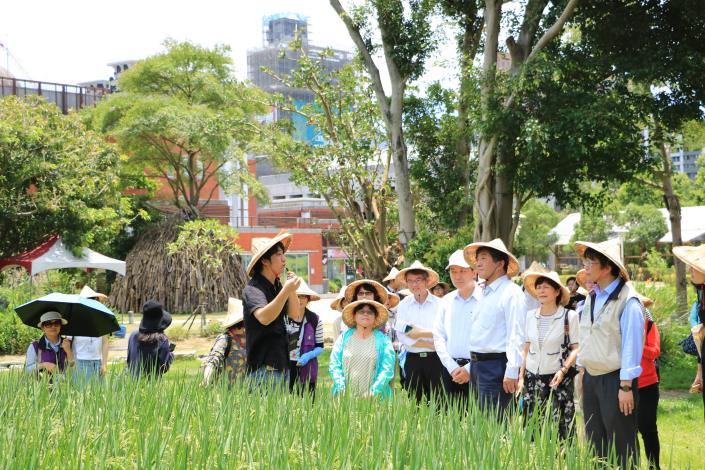 農場水稻田環境、防疫介紹
