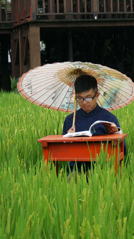 稻田上的書桌能伴隨稻作生長學習