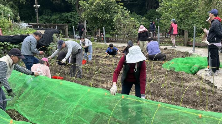 2-3週末午後一起完成種大菜工作_0_0