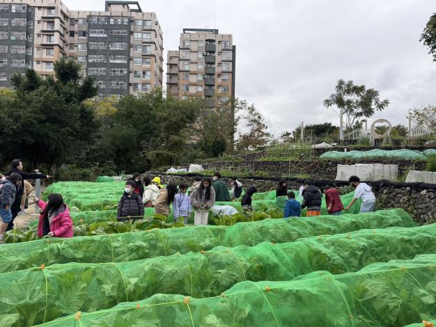 3-學童在芥菜田學習環境教育課程_0