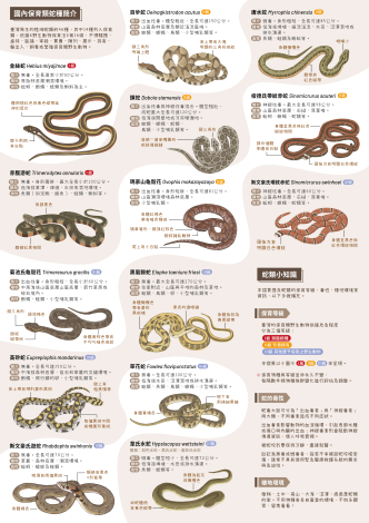 態保育及蛇類-2