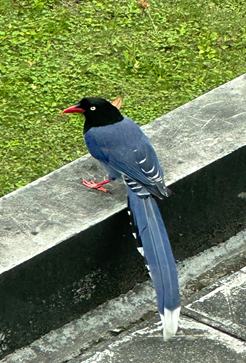 /001/Upload/384/relpic/10173/8991821/e5353051-0281-4131-9e9c-c0c406b7c4bc.png