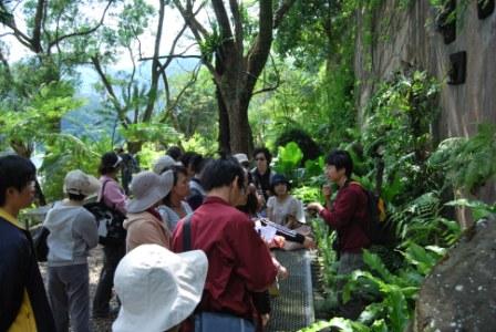 臺北翡翠水庫管理局 多媒體物件 照片1 蕨類生態研習於蕨園觀察互動情形