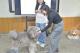 06_友善動保政策課程，寵物訓練師實際教學