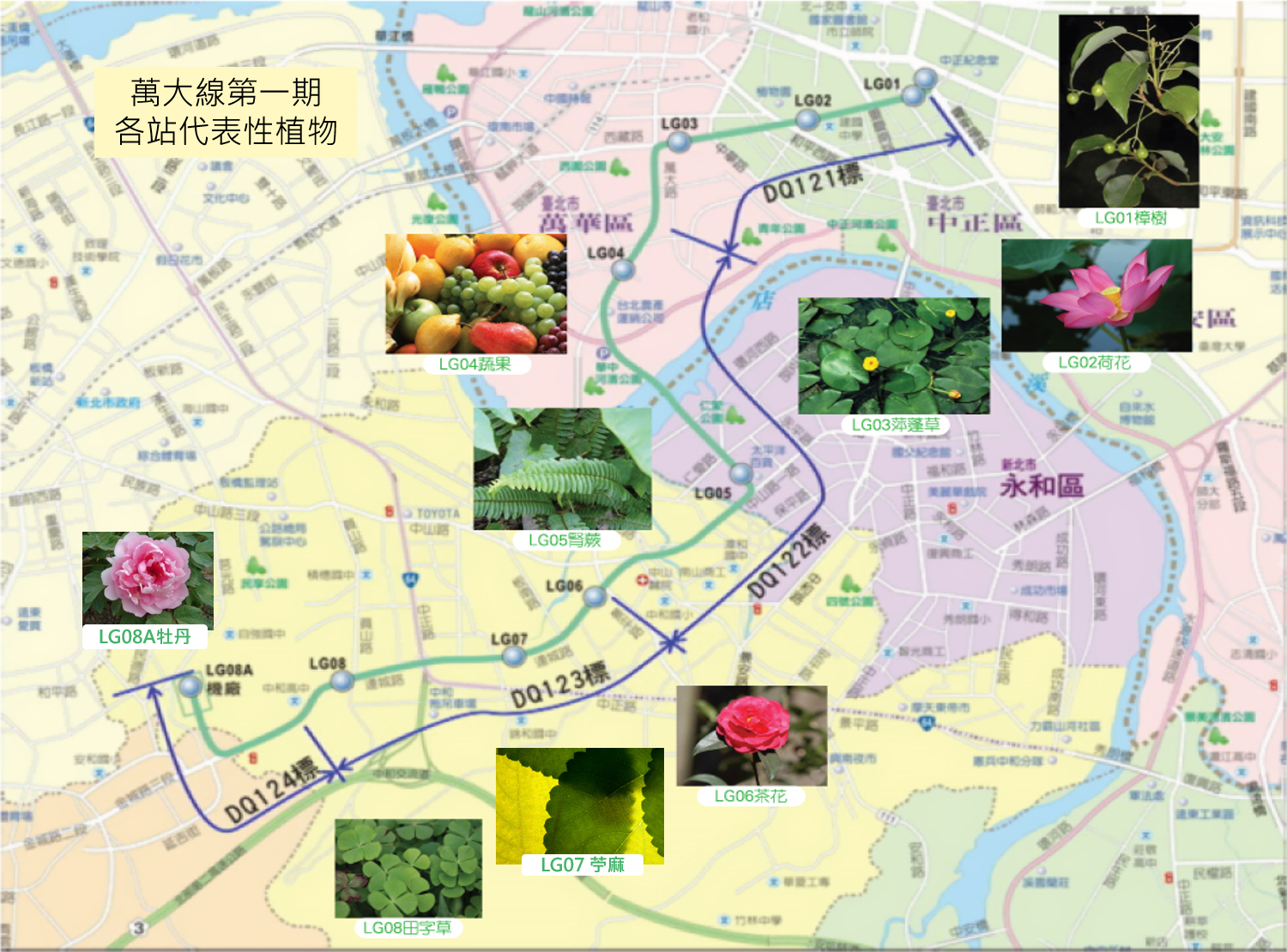 Image of representative plants for each station in the Wanda line Phase I