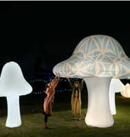 Zi-jie Yin, Fairy Ring