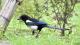 Exploring Ecology Through Birdsong in Songshan Cultural and Creative Park_img_04