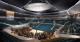 messageImage_1749699150422