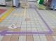 國館站增設3色導引分流動線地貼3