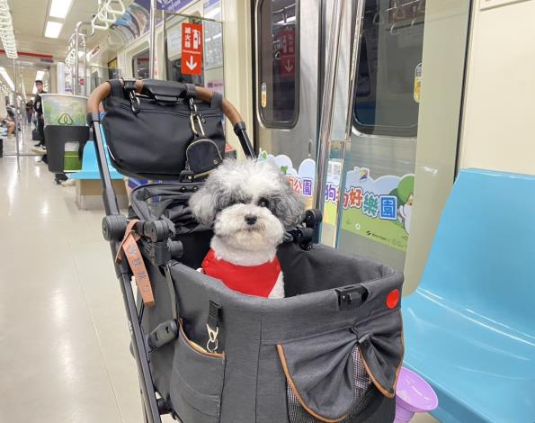 狗狗友善列車出發(8)
