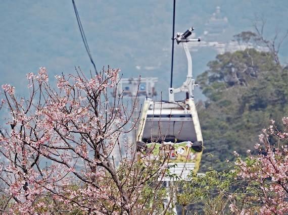 貓空纜車情人節限定活動(3)
