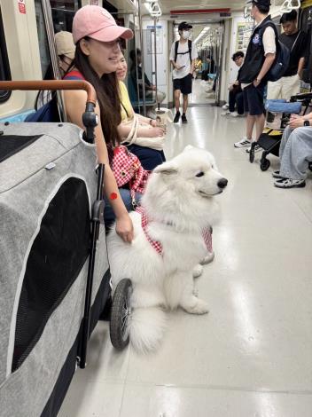 狗狗友善列車04