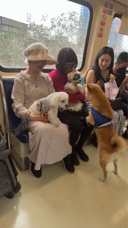 狗狗友善列車06