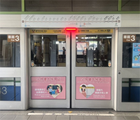 Wenhu Line Platform Door