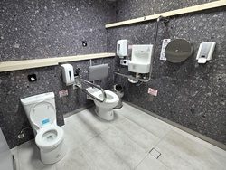 Toilet Facilities for Disabled and Elderly Passengers